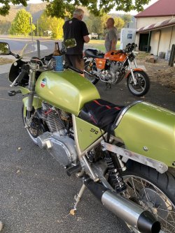 IMG_9241.jpeg