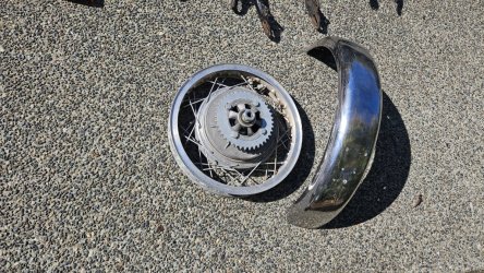 rear wheel and fender.jpg
