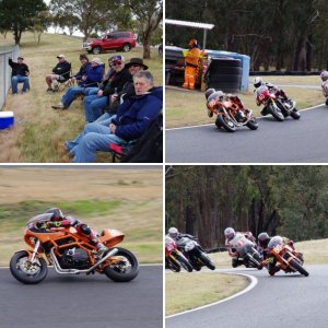 Broady Bears Nov 2019