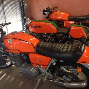 Plenty of Orange in Auckland 